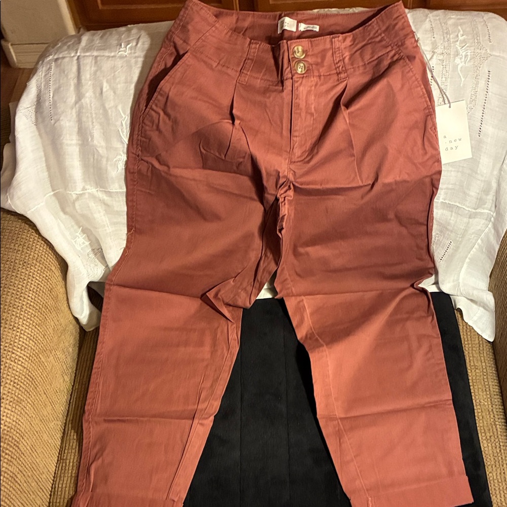 A New Day women’s terracotta pants